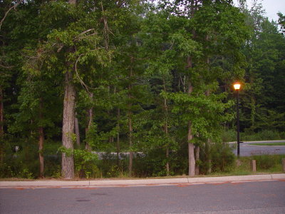 h032.jpg