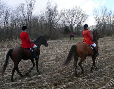 Hunting from Irish Fox Stables January 27th