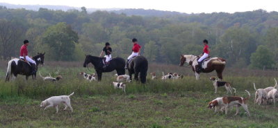 Hunting at Valley Green October 6, 2007 8:30AM