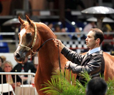 justify.jpg