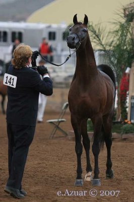 valentino-standing.jpg