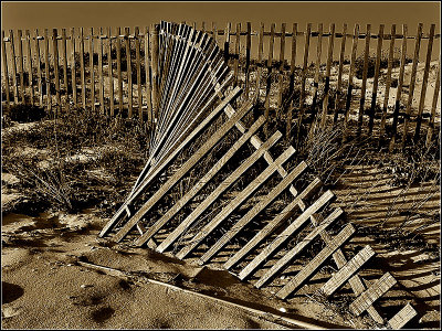 Beach fences ...