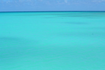 Caribbean blu