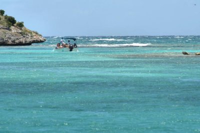 Great Bird island