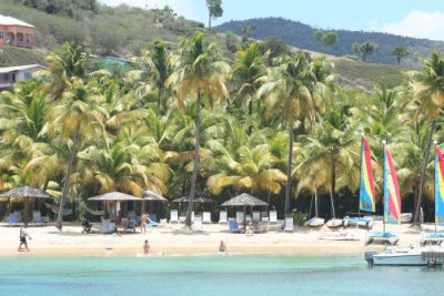 Morris bay