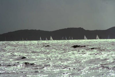 Stanford Antigua Sailing Week (link)