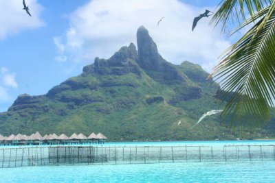 Bora Bora overwater invasion