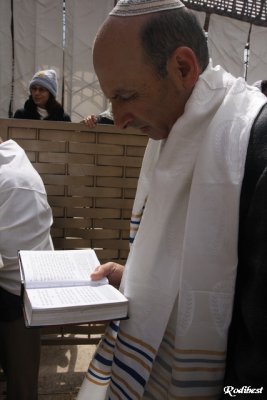 IMG_1317.jpg