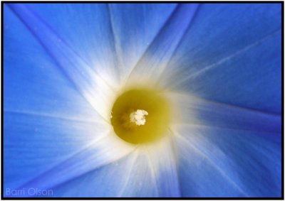 Blue 16.jpg