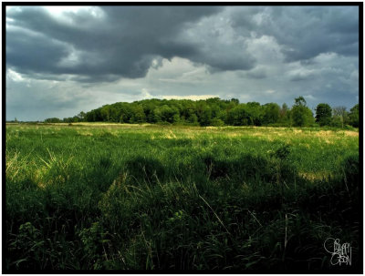 Passing Storm