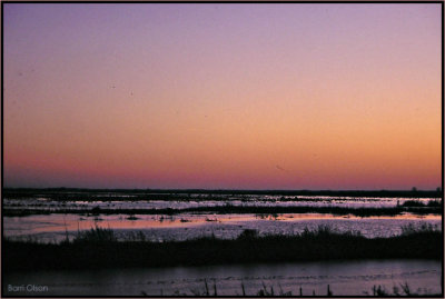 Horicon Marsh at Sunset