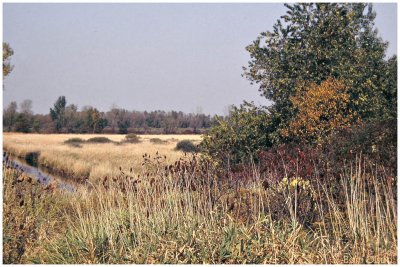 Cherokee Marsh - Early 1990's