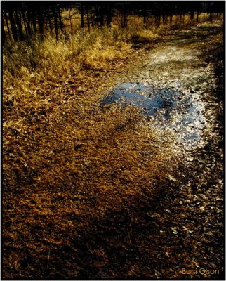 Puddle in the Path