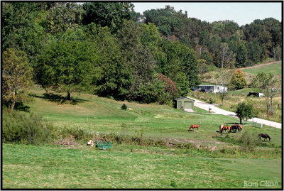 Peaceful Valley