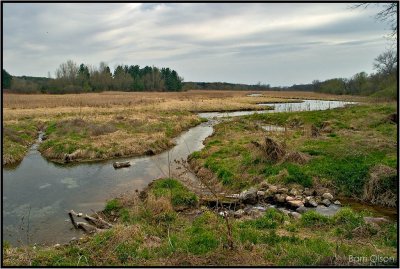 Token Creek Watershed Before the Rain