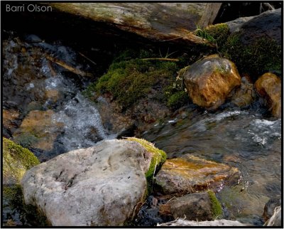 Flow-Token Creek Watershed #4