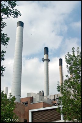 3 Chimneys and a Bird