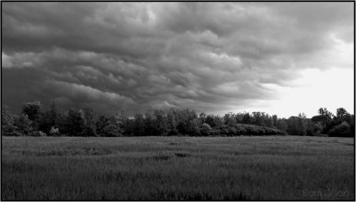 Storm at Token Creek