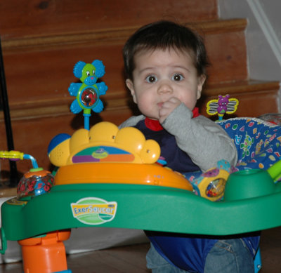 Baby Joey 022.jpg