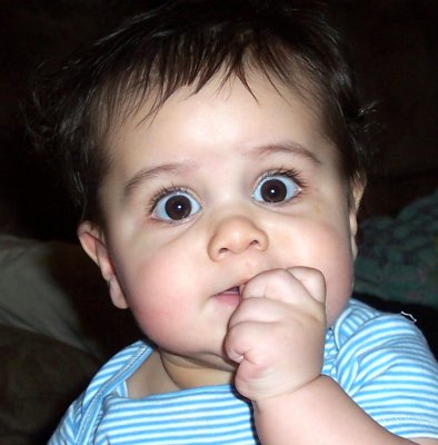 Joseph Michael 001.jpg