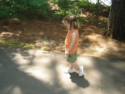 Walking in the park