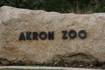 More Zoo - Akron