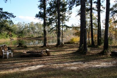 Camp Front Yard.jpg