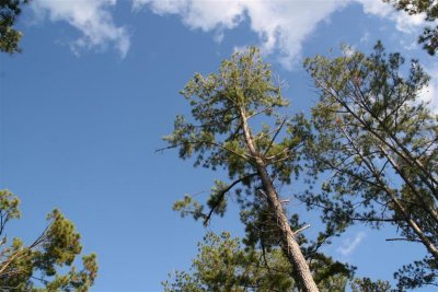Camp Nov 06.jpg