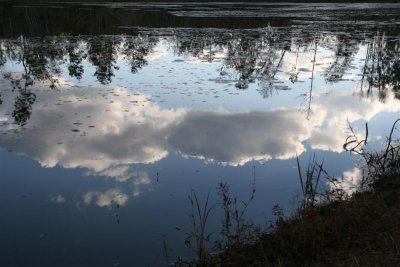 Reflections.jpg