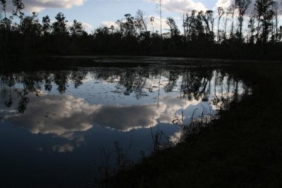 Reflection.jpg