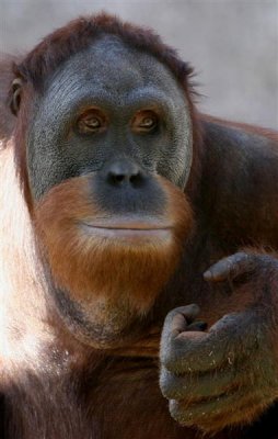 ZOO 2007 16.JPG