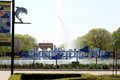 chicago zoo 1.JPG