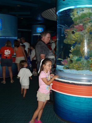 g6/27/538227/3/80711521.tdSgKSpr.jpg