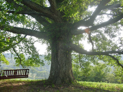 Memorial Day in Lynchburg