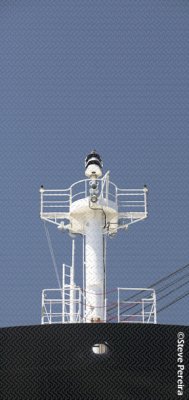_MG_9988-1