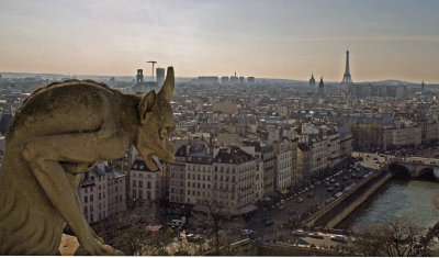 Notre Dame Gargoyle about to pounce on Paris