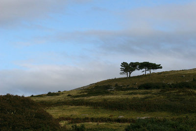 Arnside Knott