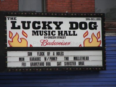 Lucky Dog
