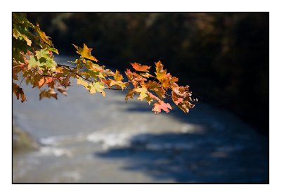 October 2006 NY State Parks