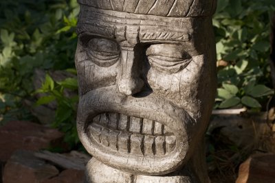 Tiki Dude