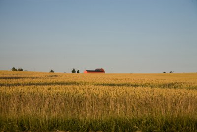 g6/27/591127/3/82072284.aB3MrKM8.jpg