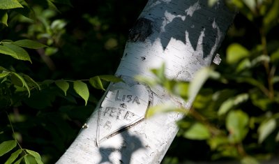 g6/27/591127/3/82072286.YhlZde7h.jpg