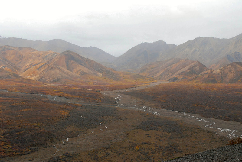 River Valley - Denali National Park - Polychrome Pass