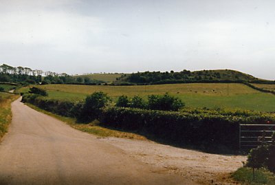 1991 road