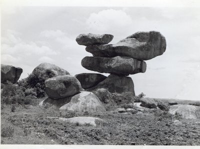 Balancing Act