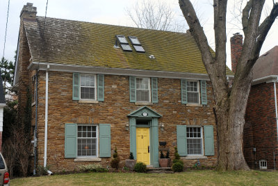 77 Jackson Ave