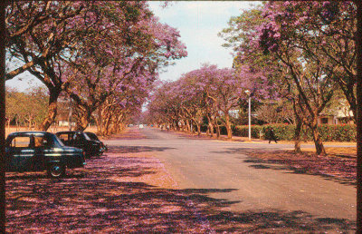 3rd  Ave, Salisbury, Rhodesia