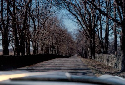 Kentucky Back Road