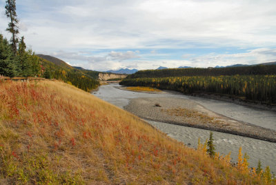 The view from the lodge bar - the Nenana river