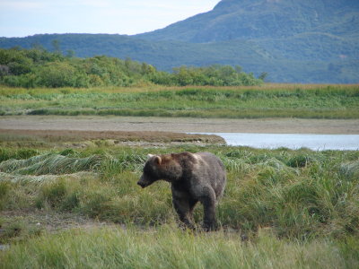 DSC04013.JPG